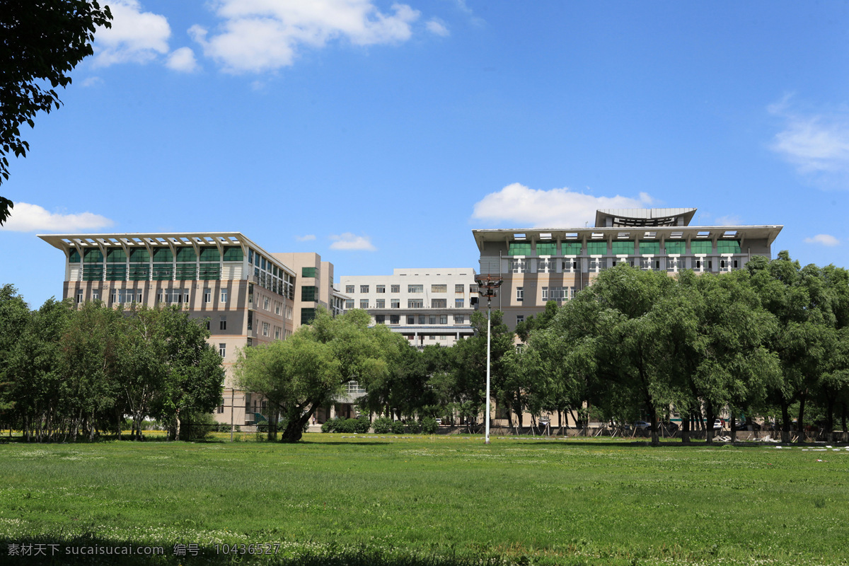 黑龙江 哈尔滨 东北林业大学 风景
