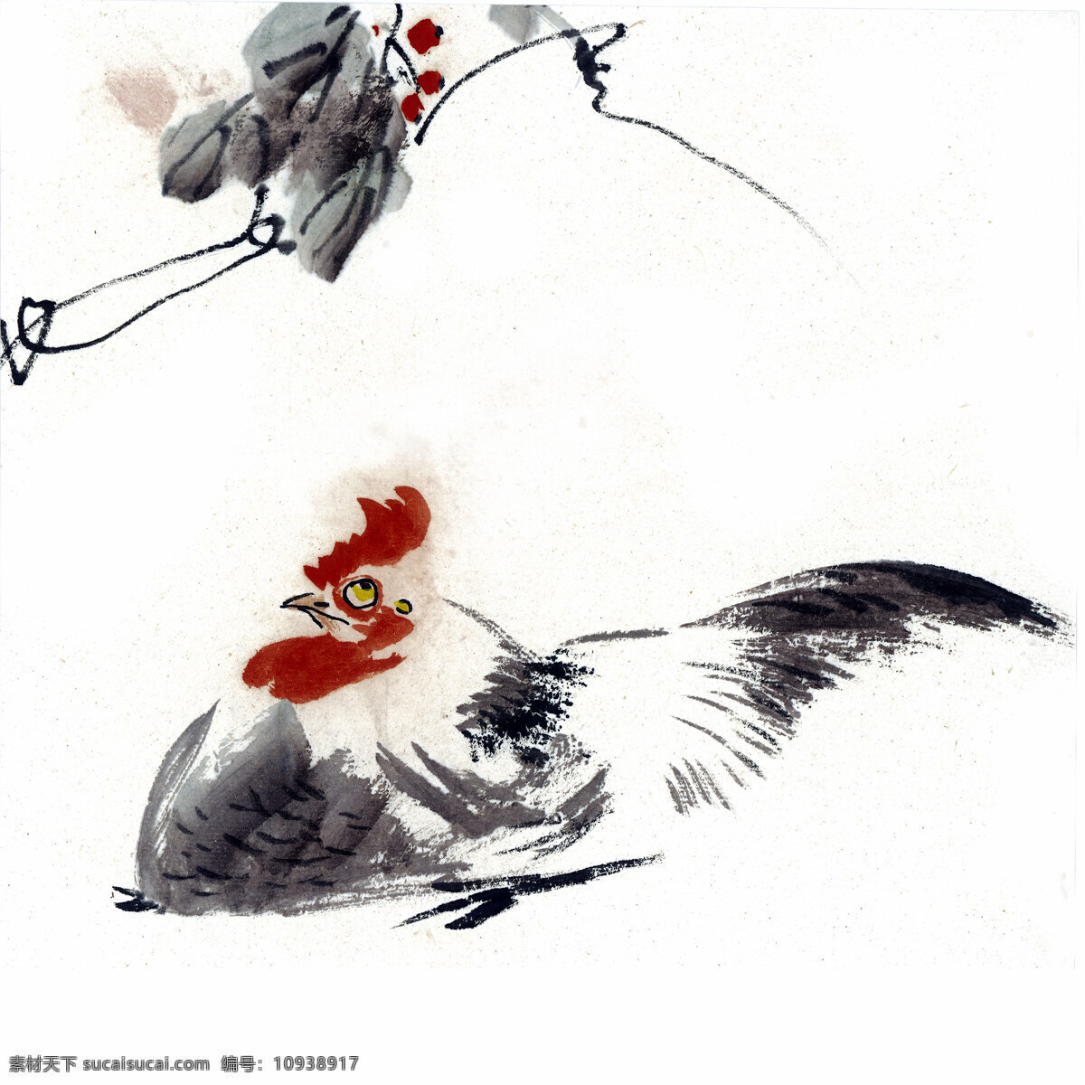 鸡 写意花鸟 国画0240 国画 设计素材 花鸟画篇 中国画篇 书画美术 白色