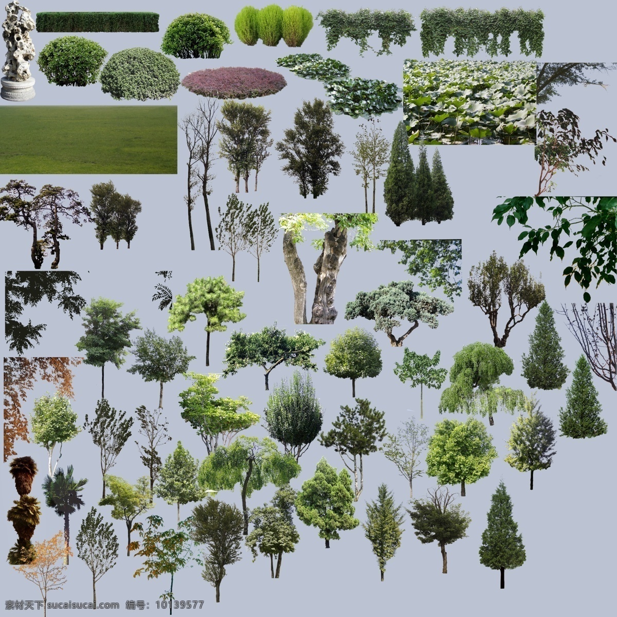 室外植物 ps植物图库 植物 树 草地 配景 园林设计 环境设计 源文件 分层