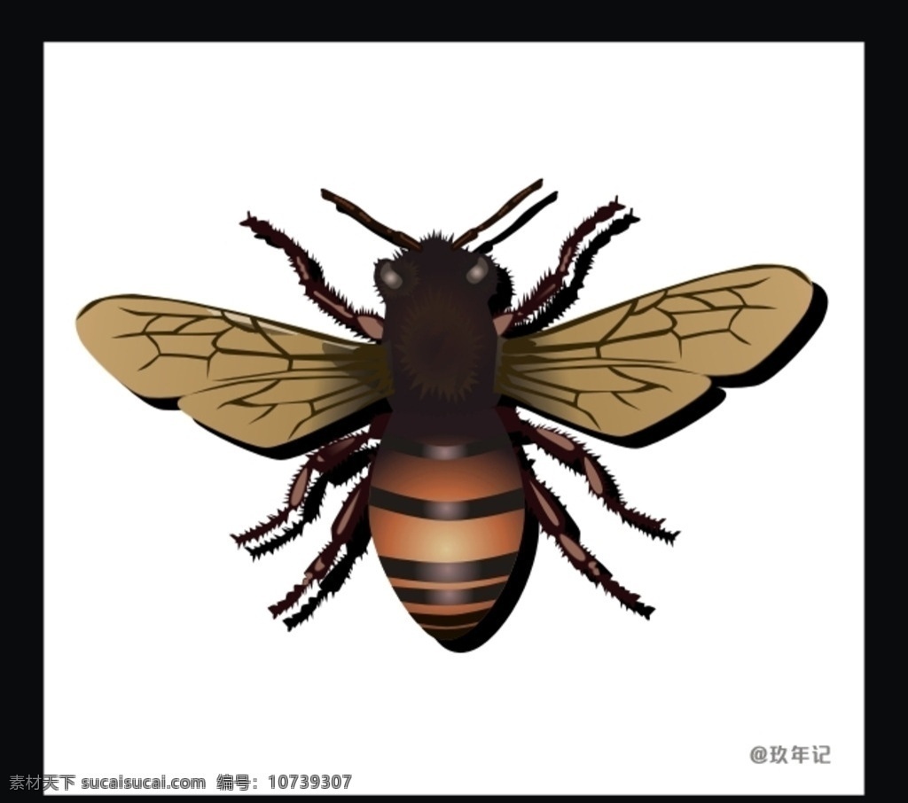 蜜蜂 昆虫 飞 蜂蜜 自然 蜂巢 矢量 动漫动画 风景漫画