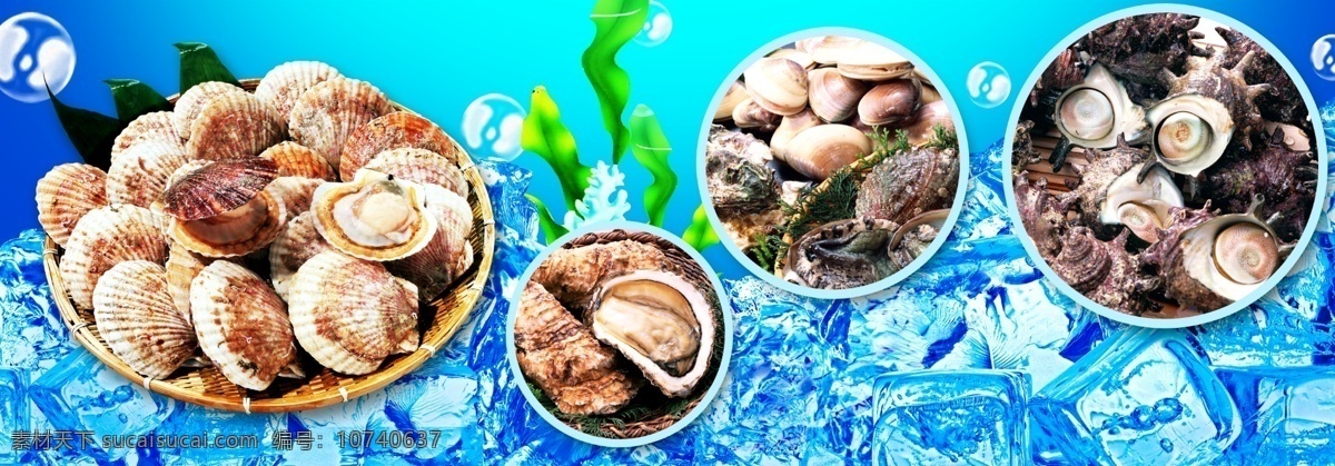 水产品 海底 贝类 冰 蛤 海螺 鲍鱼 水草 水泡 水底 海藻 海洋贝类 水产美食 海鲜 橱窗宣传