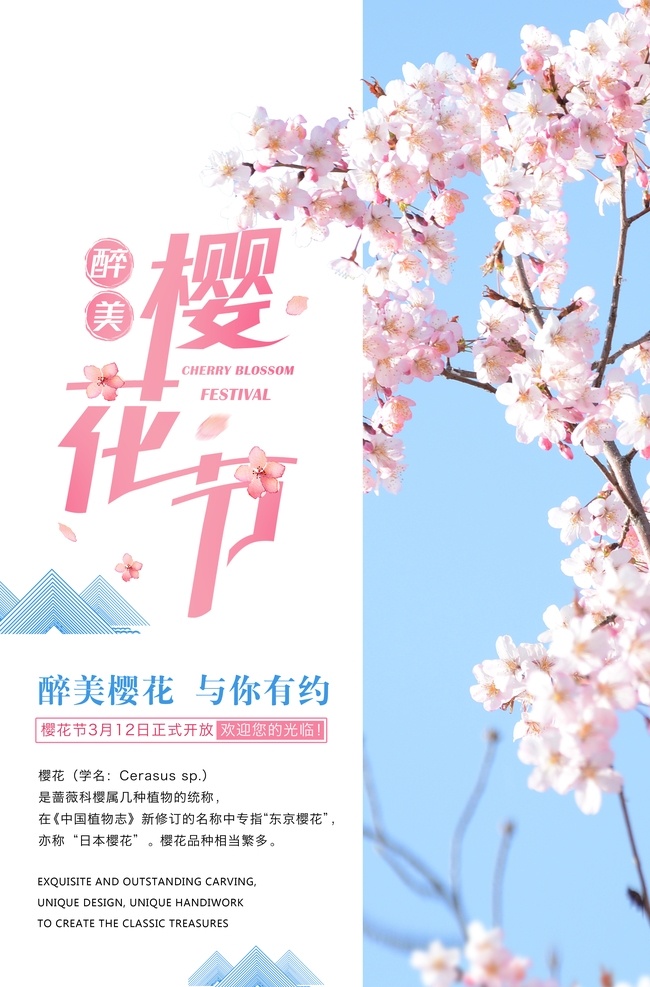 樱花 赏樱花 樱花文化节 樱花海报 樱花节展架 樱花节宣传 最美樱花 樱树 樱花图片 樱花节活动 醉美樱花 郊游 樱花节广告 东京樱花 樱花节展板 樱花背景 日本旅游 东京旅游 白色樱花 樱花摄影 樱花节摄影 樱花喷绘 樱花写真 樱花外景 武大樱花节 樱花舞台背景 醉美樱花节 樱花艺术节