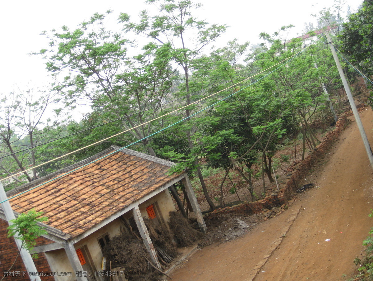 春天 电线 花开 旅游摄影 农村 瓦房 乡村 小道 土路 人文地理 自然风景 psd源文件