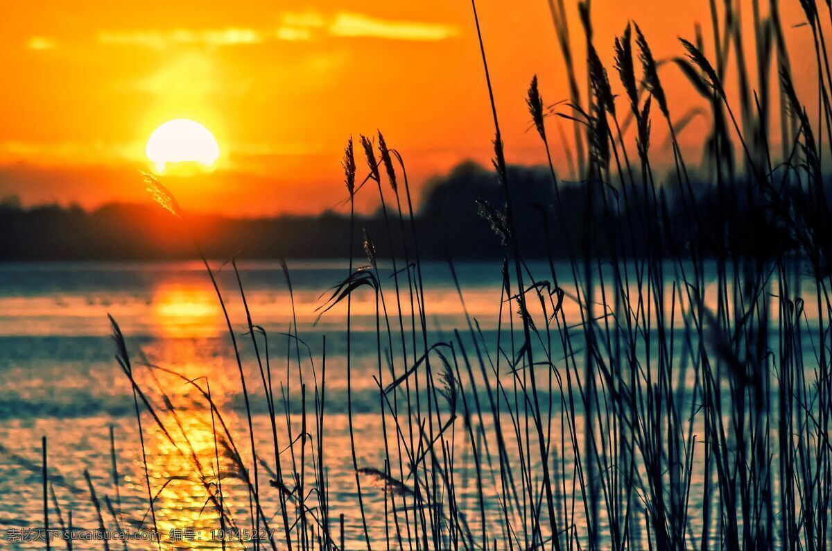 夕阳落日湖泊 落日 水草 河 河滩 清澈 红日 石滩 白云 自然风光 自然景观 自然风景
