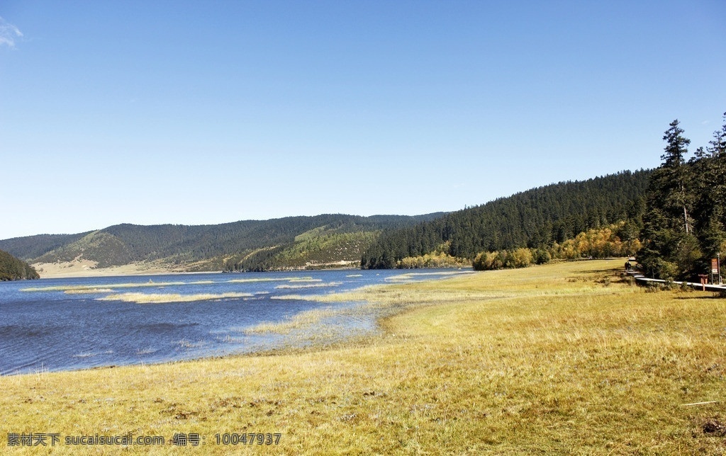 湖边景观 香格里拉 普达措 国家公园 湖水 蓝天 草地 绿色 山水风景 自然景观