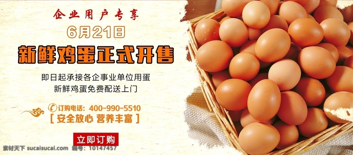新鲜 鸡蛋 淘宝 电商 海报 banner 产品上新 鸡蛋海报 ps设计 电商海报 模板