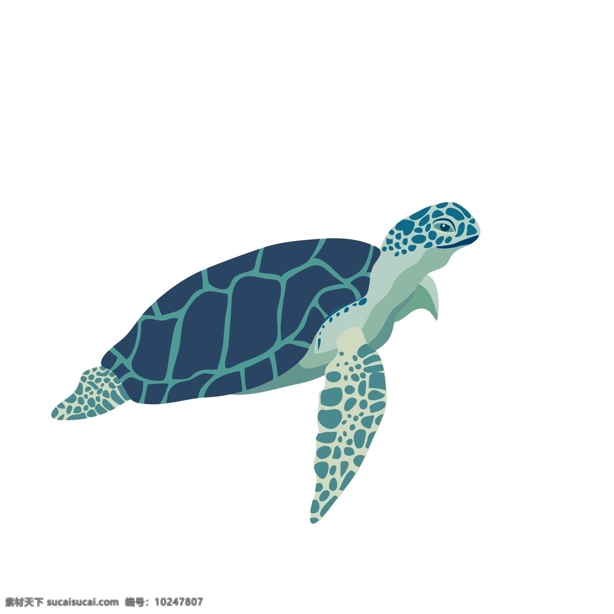 卡通 手绘 只 海龟 简约 动物 插画