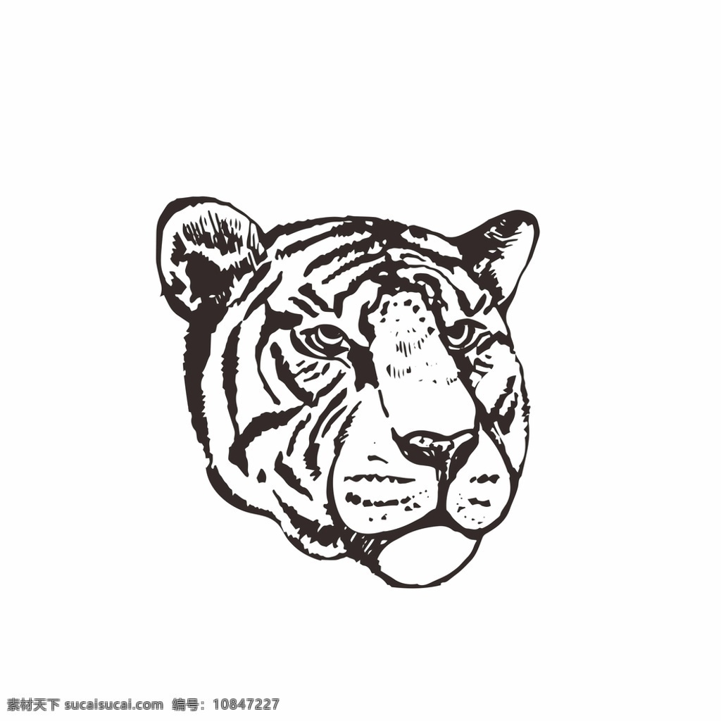 老虎头像图片 动物 矢量 笔触 头像线稿 老虎 生物世界 野生动物 pdf