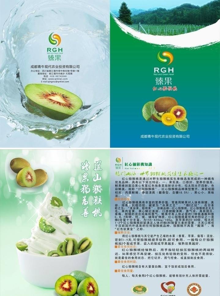 猕猴桃 简介 清新水果 时尚淡雅 矢量 模板下载 猕猴桃简介 矢量图 日常生活