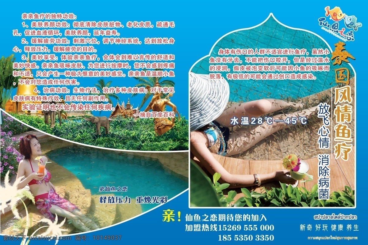 仙 鱼 恋 吧台 疗 鱼疗 吧台背景 泰国风情鱼疗