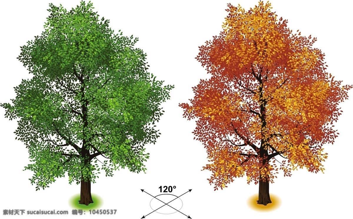 矢量树 绿植 绿树 绿叶 树木 树林 四季树 花草树木 生物世界 秋天的树叶 树木树叶