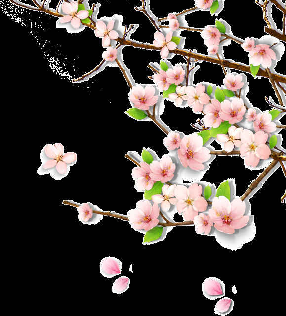 桃花 花枝 装饰 背景 海报 素材图片 png格式