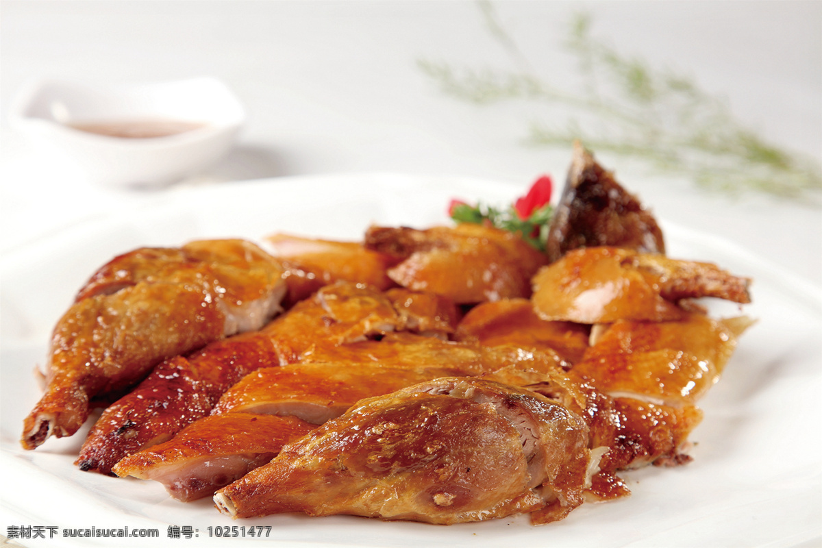 广式烧鸭仔 美食 传统美食 餐饮美食 高清菜谱用图