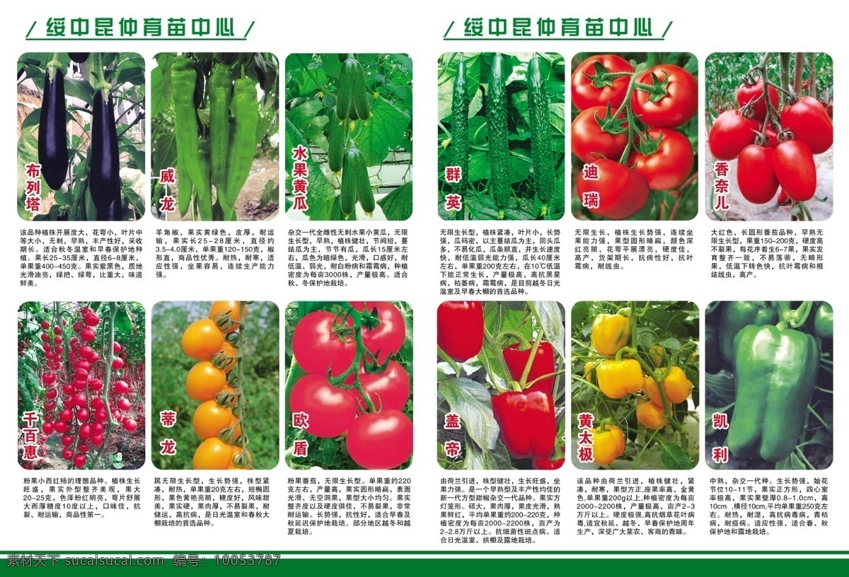 各种蔬菜 蔬菜图 茄子 黄瓜 西红 蔬菜 广告设计模板 源文件