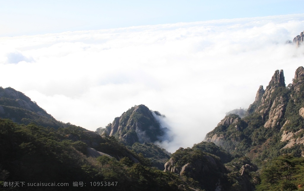 黄山 云海 云雾 山顶云雾 雾海 日出 草木 山峰 树林 高山 石头 远峰 怪石 自然景观 旅游摄影 自然风景