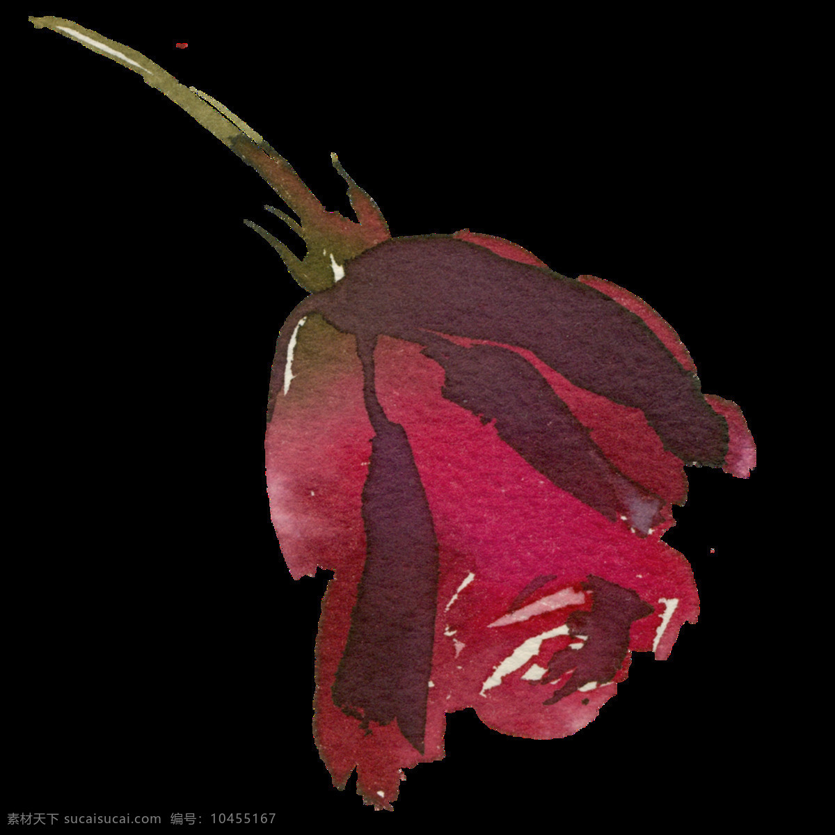 手绘 鲜红 玫瑰花 透明 高贵 美艳 免扣素材 水彩 透明素材 唯美 鲜红色 渲染 装饰图案