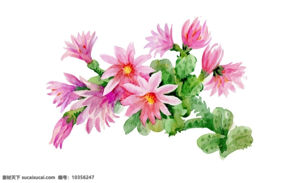 夏季 粉色 花朵 植物 水彩 手绘 矢量 文件 仙人掌 小花 鲜花 卡通 装饰 印刷 高清
