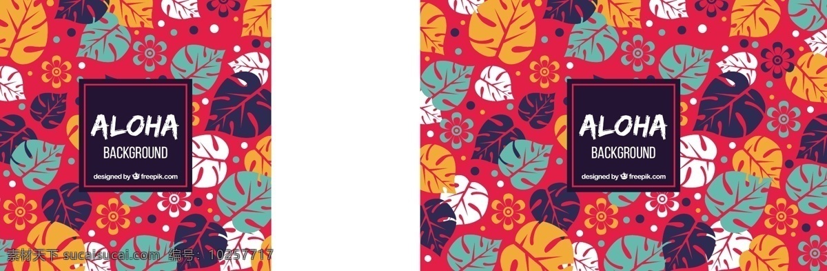 红色 背景 多彩 热带 树叶 花卉 夏季 花卉背景 五颜六色 丰富多彩 颜色 夏威夷 季节 热带花卉 背景色 背景花