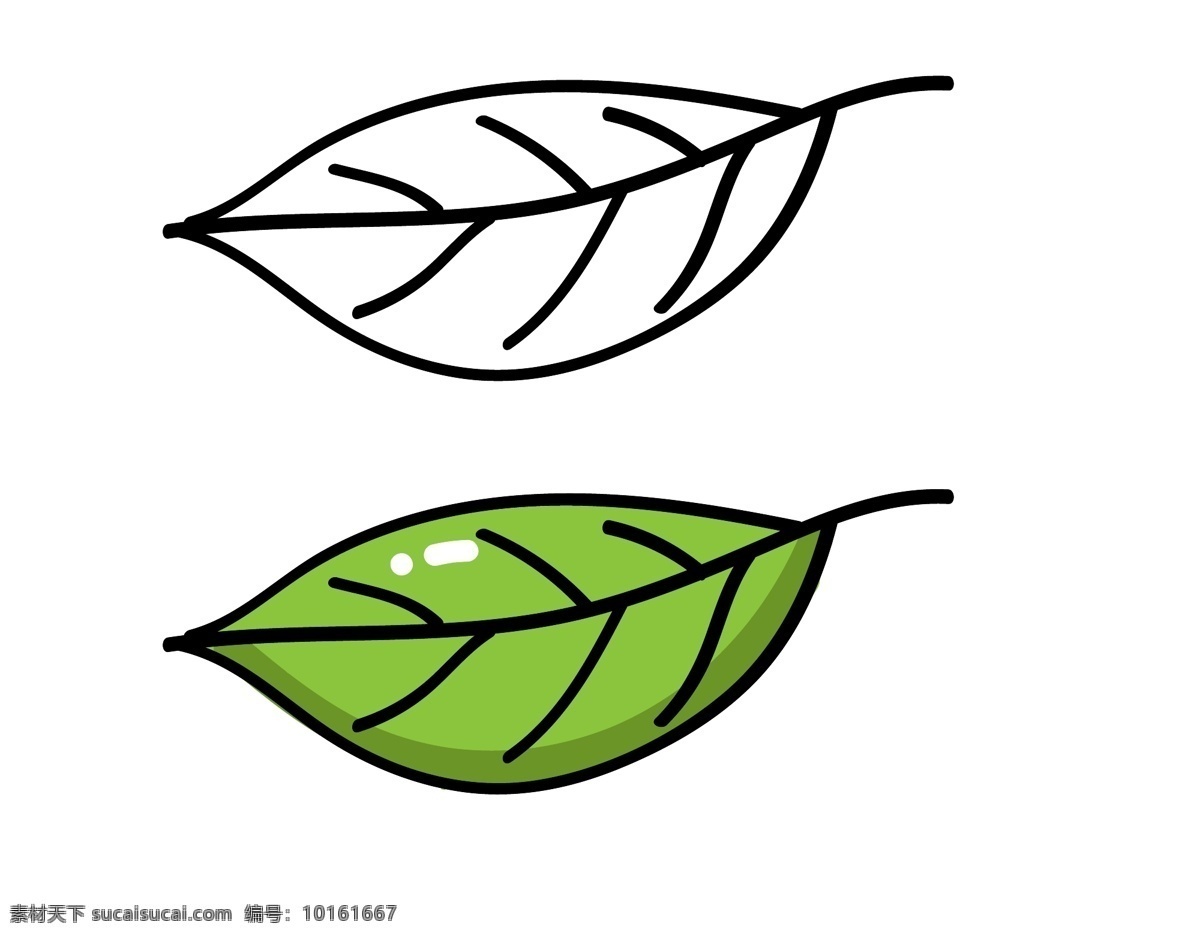 绿色叶子 叶 树叶 绿叶 叶子简笔画 叶子卡通画 花叶 落叶 装饰叶子 一片叶子 生物世界 树木树叶