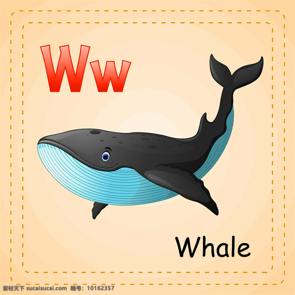 鲸鱼 英 词 单词 矢量 陆地动物 漫画动物 卡通动物 动物英文名称 动物字母字体 动物单词 英语培训教育 书画文字 文化艺术 矢量素材