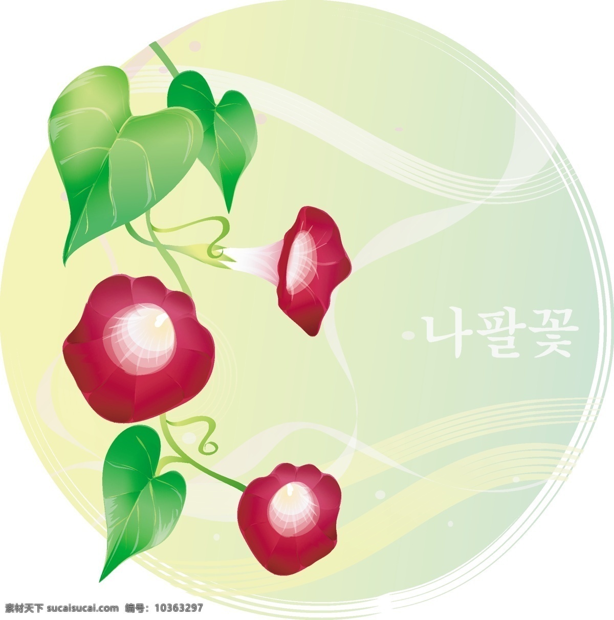 向量 牵牛花 韩国插画 向量植物 矢量图 花纹花边