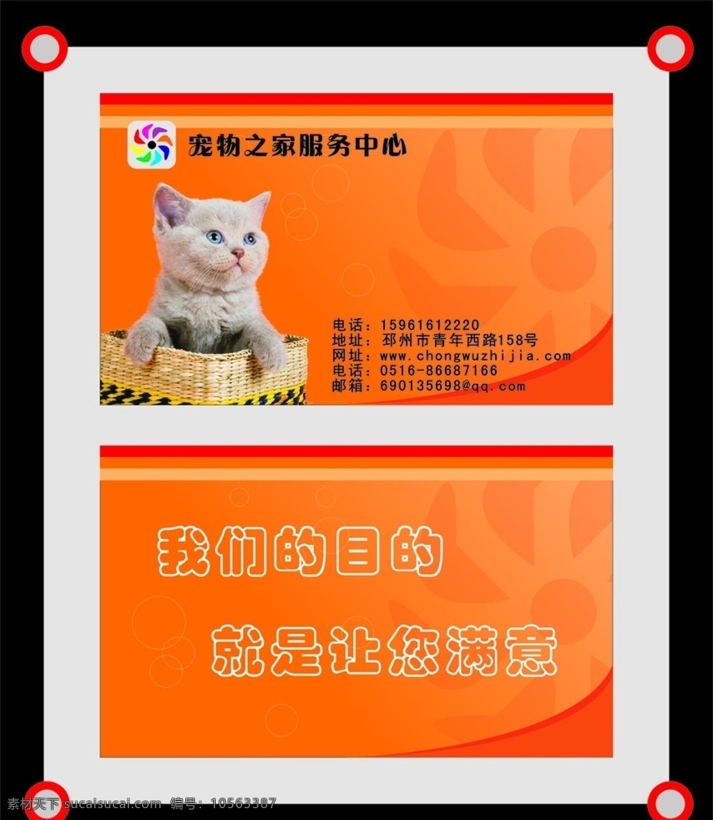 宠物名片 小猫 篮子 气泡 花 可爱 橘红 圆圈 名片卡片 矢量