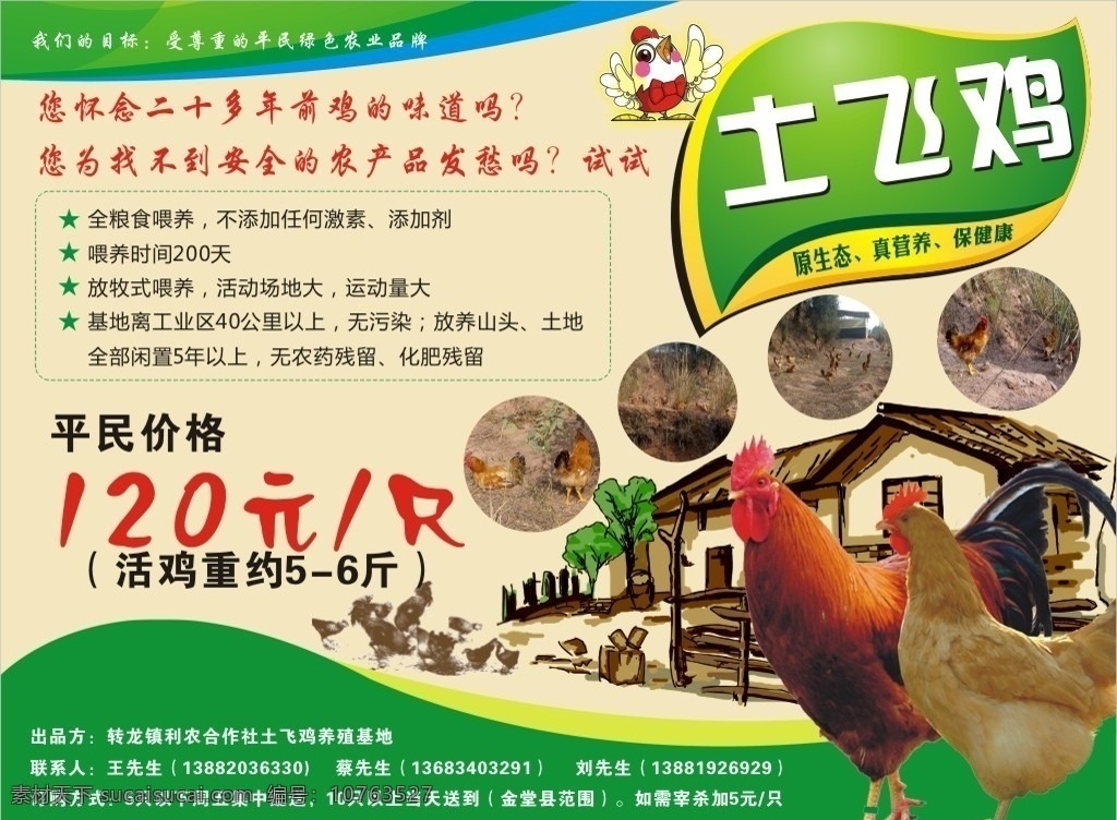 土鸡 母鸡 鸡 土飞鸡 鸡包装 土鸡宣传 土鸡设计 农产品 养殖 鸡场 绿色食品 土鸡养殖 广告宣传设计