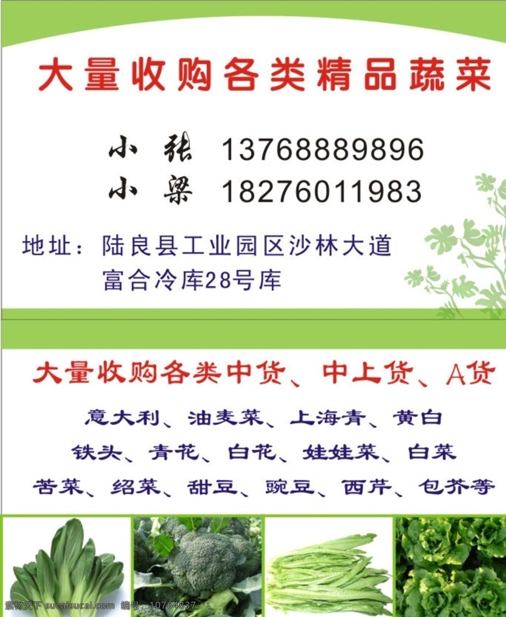 蔬菜名片 蔬菜 名片 绿色 宣传 草 青菜 名片卡片