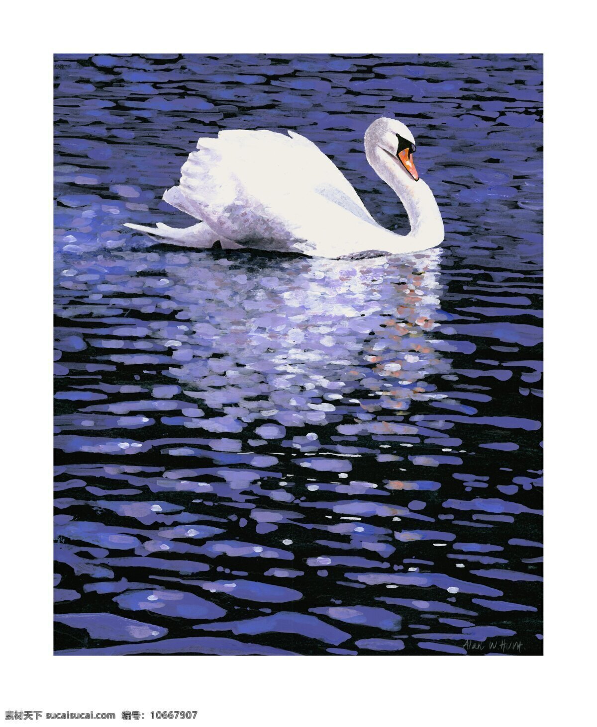 湖面上天鹅 湖面上 天鹅 白色 休息 游弋 波纹 波光 鸟类 生物世界