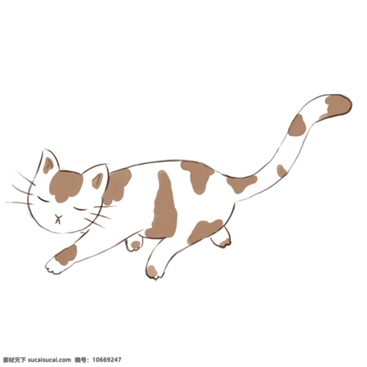 手绘 猫咪 动物 卡通 透明 装饰图案 宠物 免抠素材 可爱 猫猫 玩耍