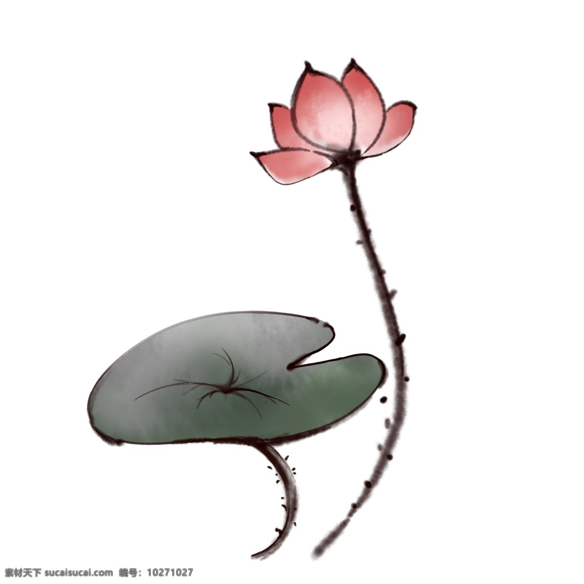 卡通 手绘 莲花 插画 荷花 水生植物 深绿色 荷叶 红色 花瓣 叶盾状圆形 密生倒刺 波状 出淤泥而不染