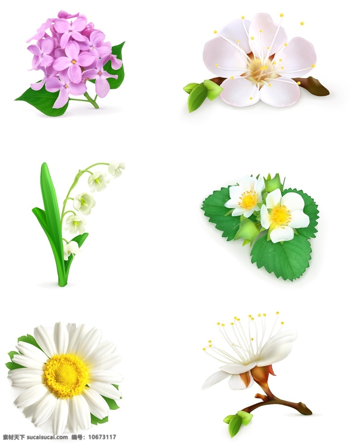 花卉 花朵 美丽的花 鲜花 植物 绿叶 矢量 高清图片