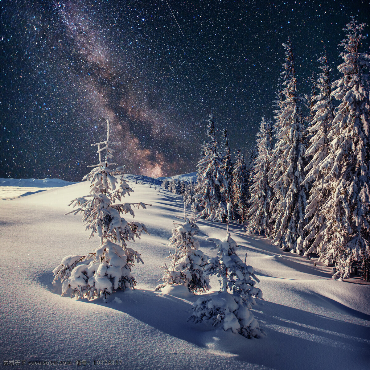 星空 树林 雪地 冰天雪地 美丽雪景 冬天风景 树木 道路 雪景 美景 雪景图片 风景图片