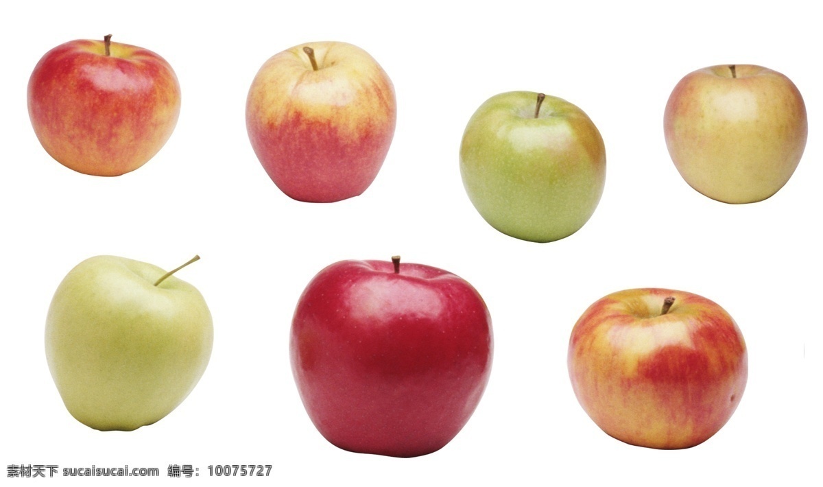 苹果素材 苹果横截面 苹果切面 苹果横切面 苹果 红苹果 红富士 切开的苹果 苹果截面 富士苹果 新鲜水果 苹果切开 新鲜苹果 白底棚拍 红色 苹果肉 分层