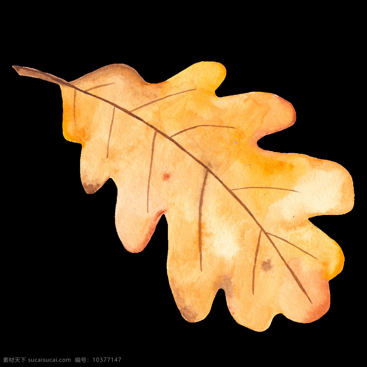 手绘水彩叶子 叶子素材 叶子底纹 叶子装饰素材 水彩叶子装饰 叶子插画 底纹边框 其他素材