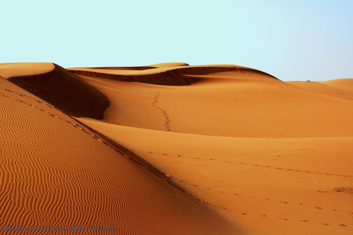 沙子 沙滩 沙漠骆驼 骆驼 枯萎 干燥 黄沙 天空 沙漠风景 热天 中暑 热 太阳 公路 沙漠风暴 风景 自然景观 自然风景