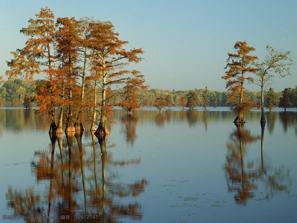 湖面 湖水 水 平静 树 山水 秋叶 自然景观 山水风景 摄影图库