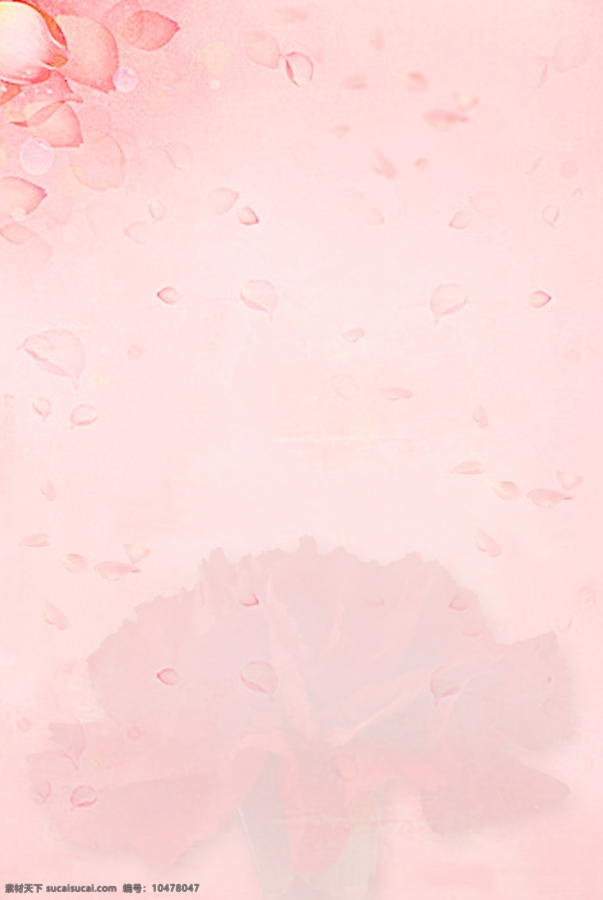 母亲节 粉色 海报 背景 图 粉色背景图 花瓣 康乃馨 母亲节背景图 海报背景图 幸福