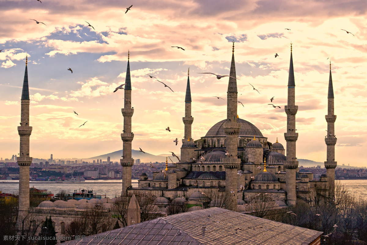蓝色 清真寺 建筑 风景 伊斯坦布尔 蓝色清真寺 土耳其风光 土耳其 旅游景点 美丽风景 美丽景色 风景摄影 城市风光 环境家居 白色