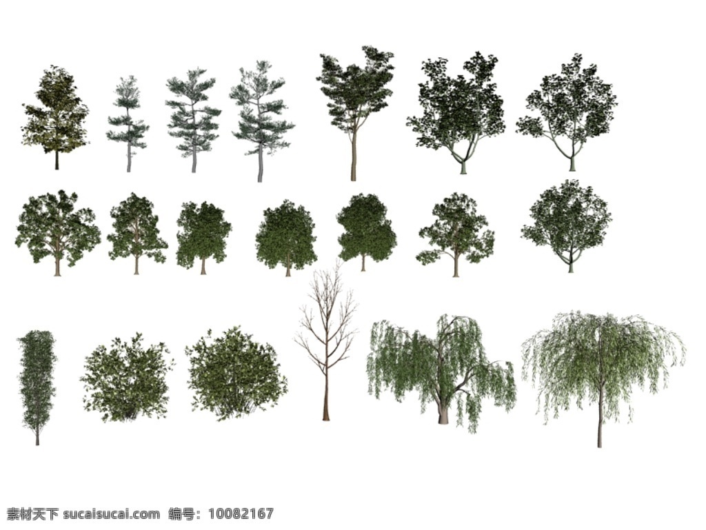 3d设计模型 max 灌木 枯树 柳树 室外模型 源文件 20款树模型 好看的树模型 室外树木 柏树 白橡树 防风树 落叶树 3d模型素材 其他3d模型