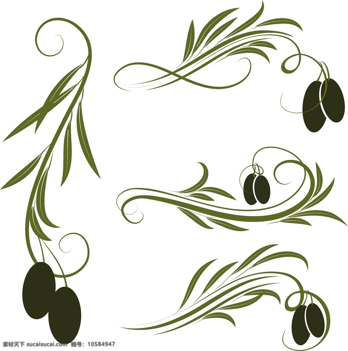 橄榄设计 橄榄花纹 橄榄叶 橄榄枝 橄榄 橄榄果实 橄榄油图标 橄榄广告 橄榄油广告 橄榄油
