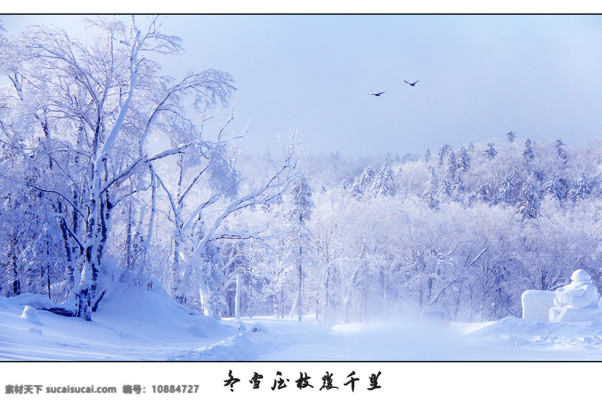 北国风光 田野 雪景 东北 冬天 大雪 风雪 自然风光 冬 自然景观 自然风景