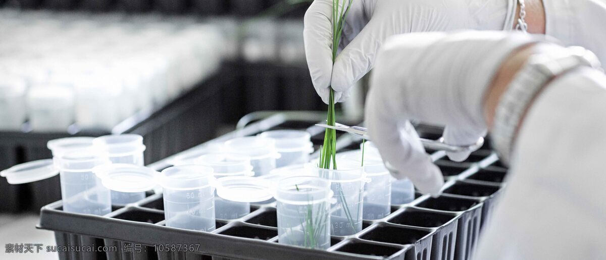科研 科技 科学 研究 实验室 手套 玻璃管 实验 抽取 生化 检验 动作 安全 蓝色 蓝 blue 高清 高清图片 现代科技 科学研究