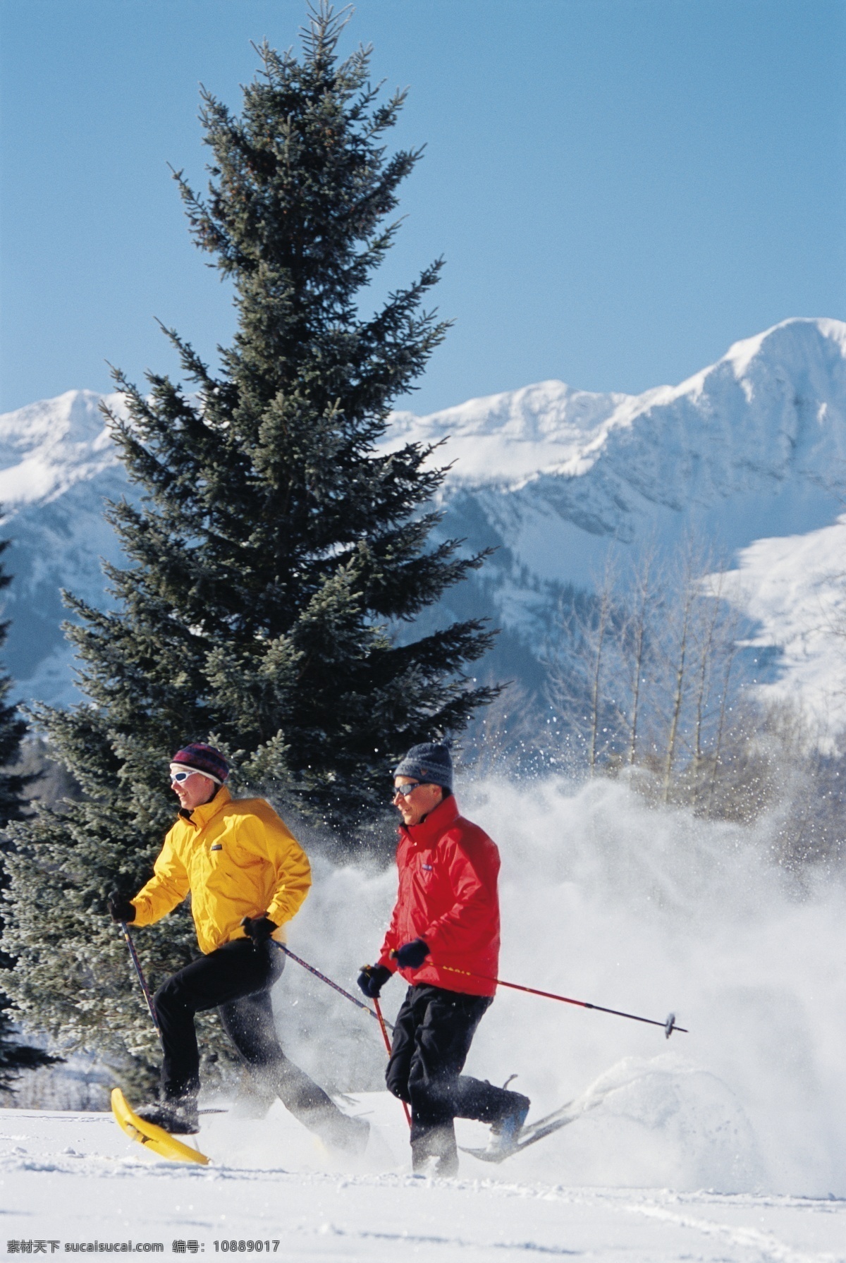 雪地 上 滑雪 运动员 高清 冬天 雪地运动 划雪运动 极限运动 体育项目 运动图片 生活百科 风景 雪景 雪山风光 摄影图片 高清图片 体育运动 黑色