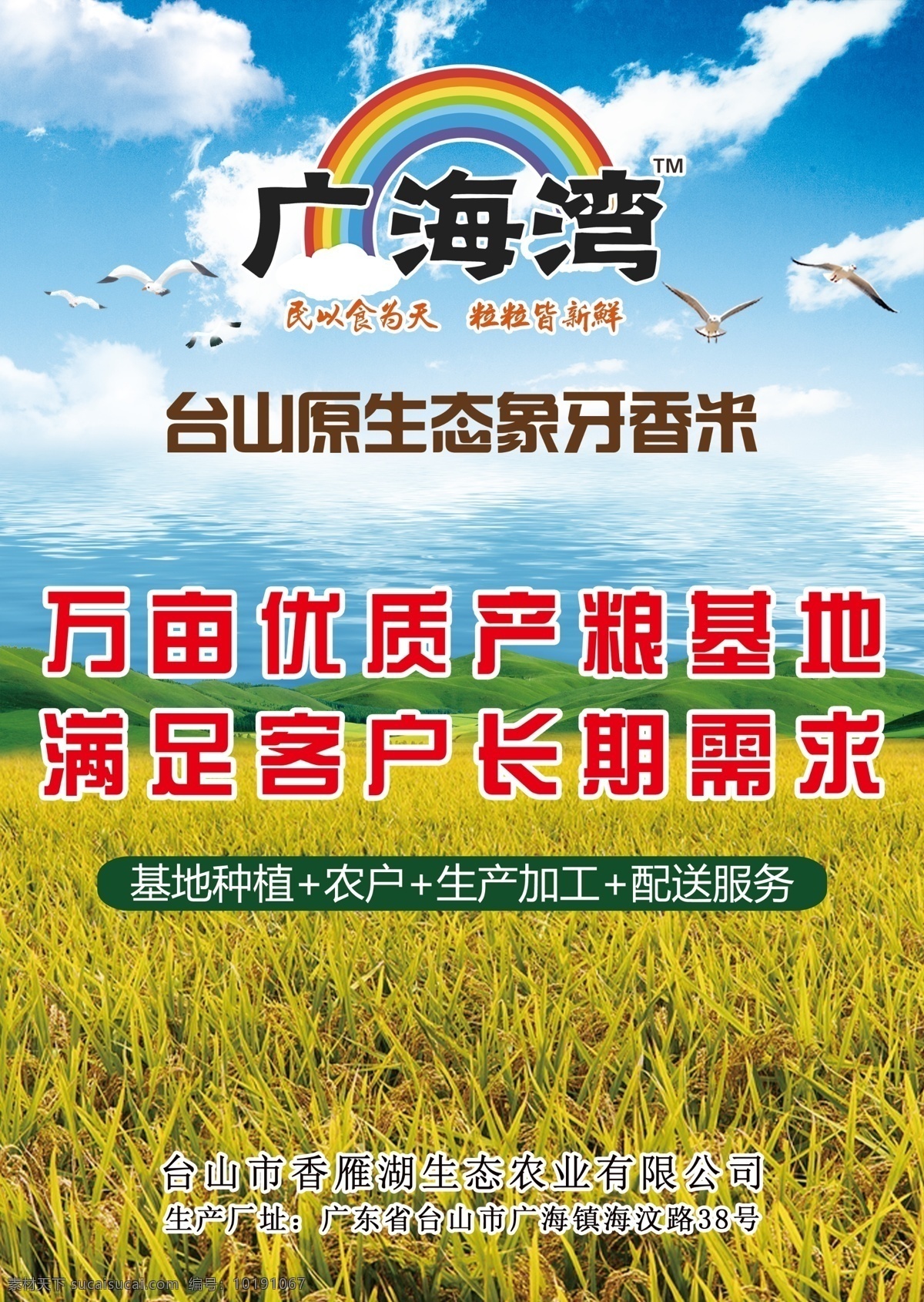 水稻海报 稻田 水稻 封面 画册 海报