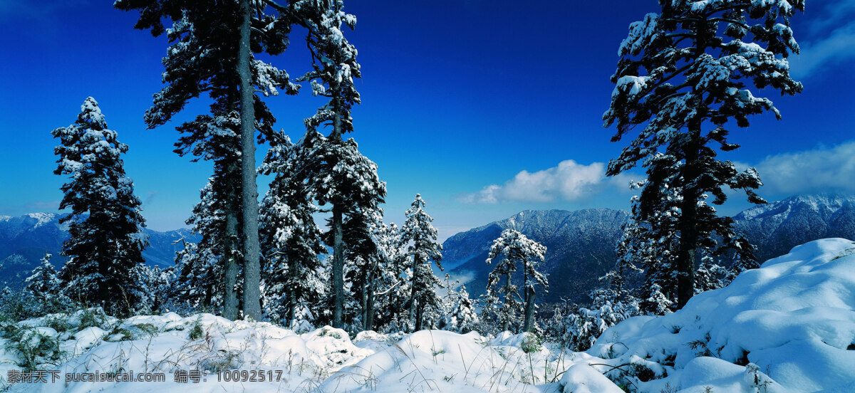 冬天 雪景 背景 冬天雪景 风光 风景 季节 摄影图库 自然 自然风景 自然景观 生活 旅游餐饮