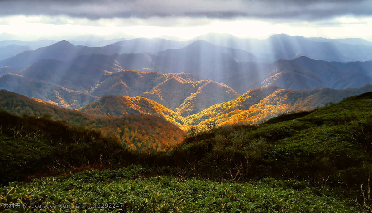 峡谷 秋天 光泽 秋天的叶子 月 白神山地 山毛榉森林 世界自然遗产 日本 山 自然 景观 太平的景象 风景 宁静 大自然的美 山脉 字段 没有人 自然景观 自然风景