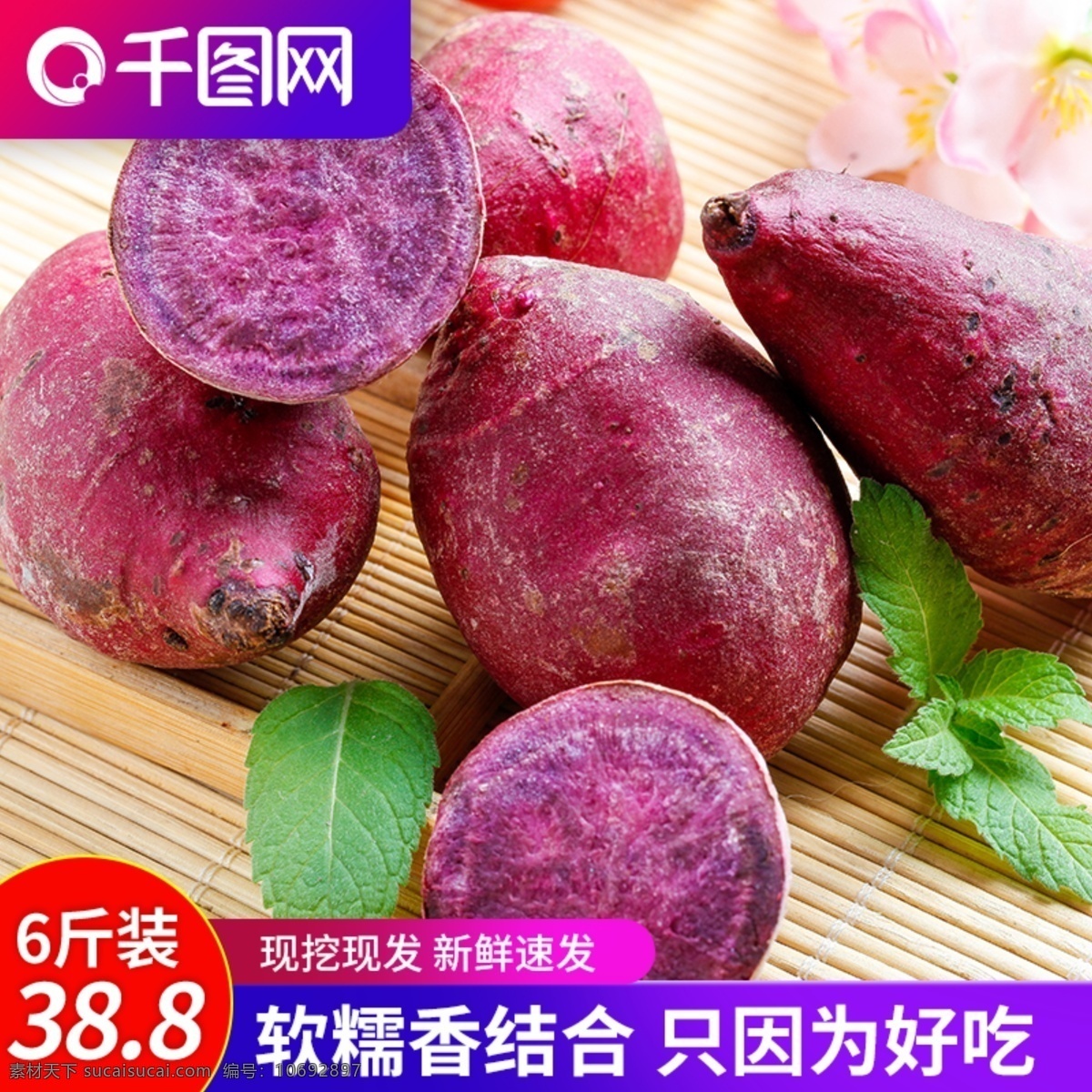紫 薯 主 图 香 软 糯 现 挖 紫薯 现挖