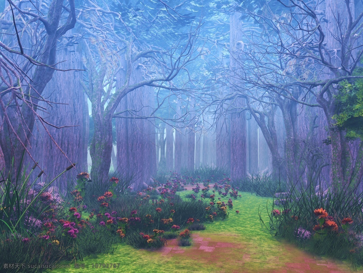 梦幻 童话 树林 风景图片 森林 背景 唯美
