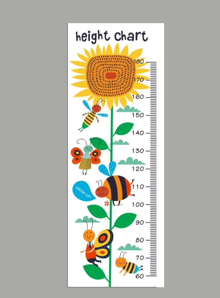 身高 测量尺 向日葵 可爱 小动物
